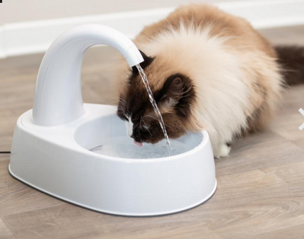 gallery-4762-for-109961