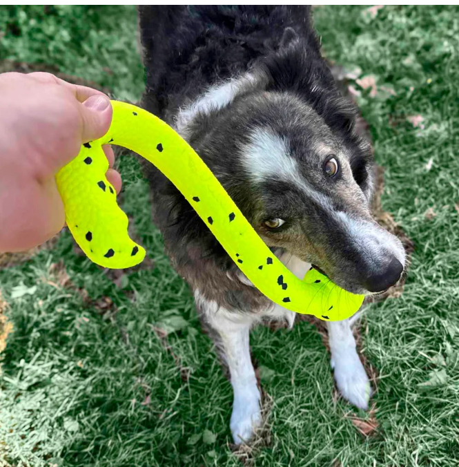 gallery-4766-for-110126