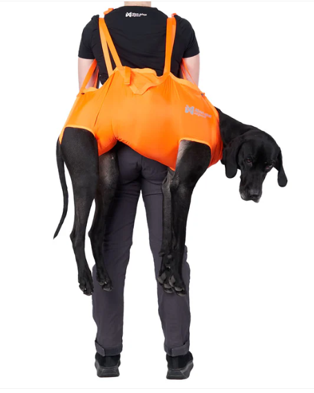 Non-Stop Dog rescue sling, unisex, orange, L, single