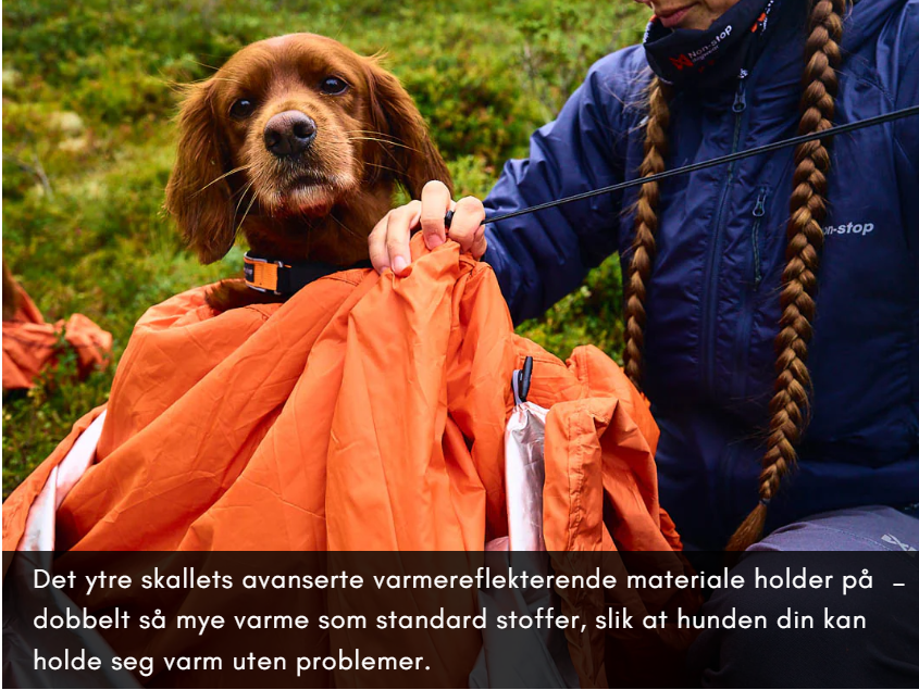 gallery-4778-for-106043