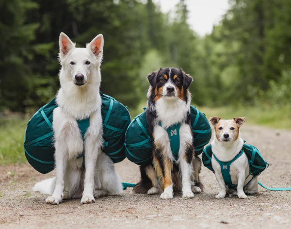 gallery-4789-for-107302