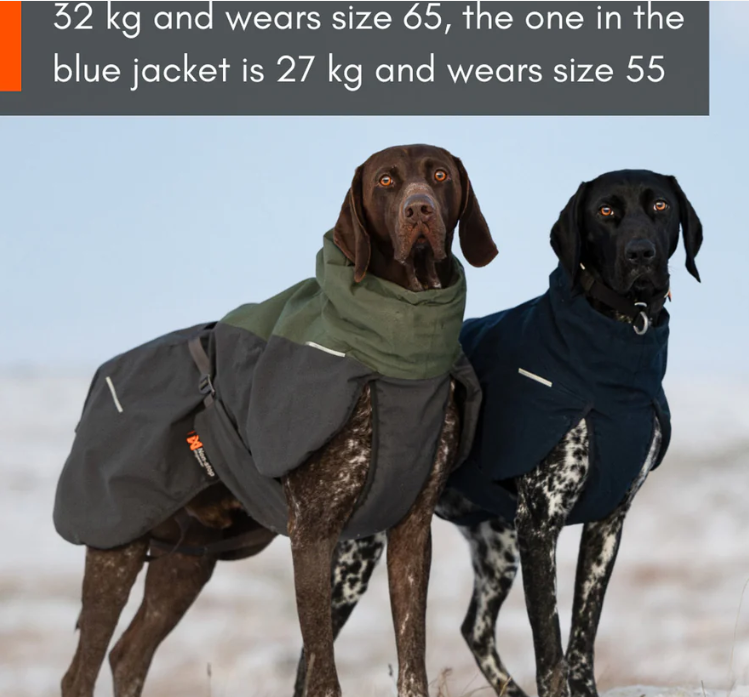 gallery-4793-for-100212