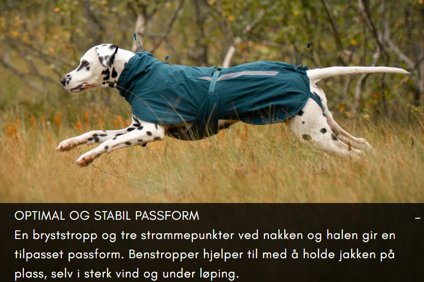 gallery-4796-for-110011