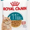 RC Ageing 11+ Gravy 12x85 g