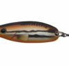 Abu Garcia Shaky 10g Vairon