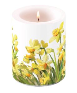 Motivlys Golden Daffodils
