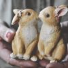 Kaniner som kysser