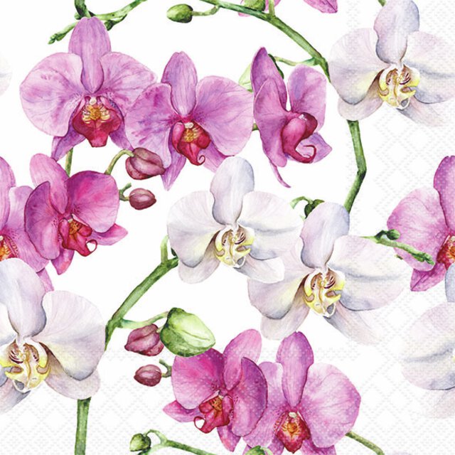 Serviett Elegant orchids lunsj