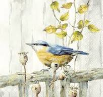 Serviett Kantori lunsj