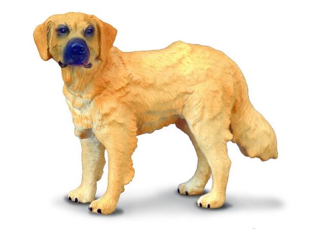 Collecta Golden Retriever M