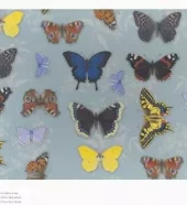 Gaveeske Natural History Museum 5