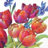 Serviett Tulips of Joy kaffe