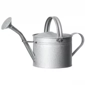 Vannkanne Alvin 5 ltr Zink