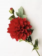Dahlia støvet rød 66cm