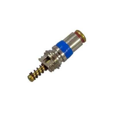 Dirzone Schrader valve (inflator)