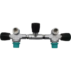 Dirzone manifold valves 300b for D12