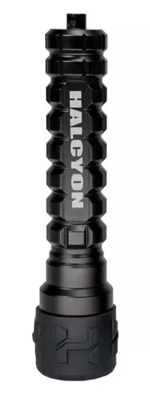 Halcyon Photon backup