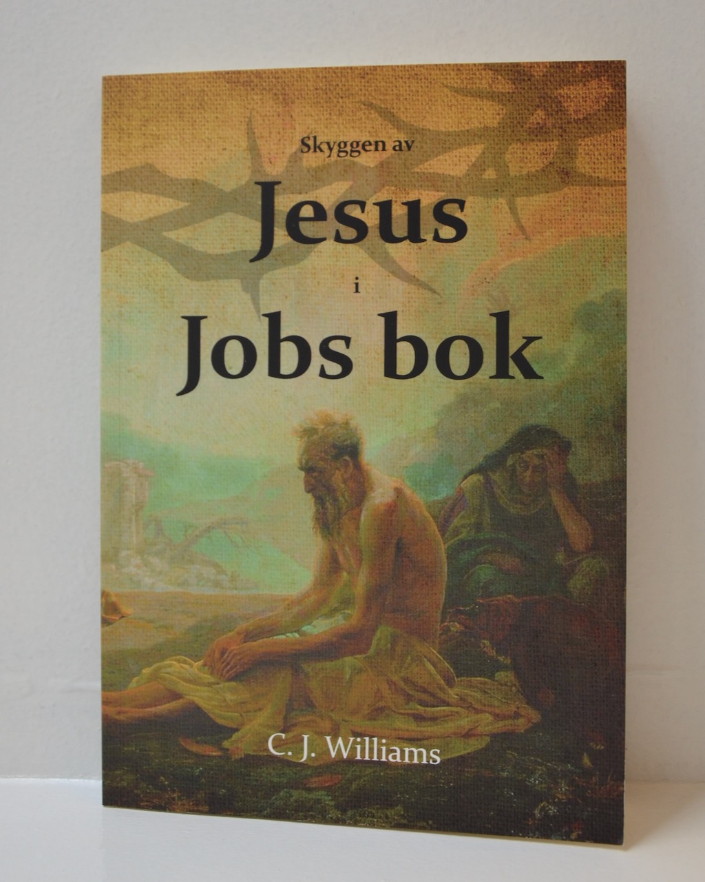 Skyggen av Jesus i Jobs bok