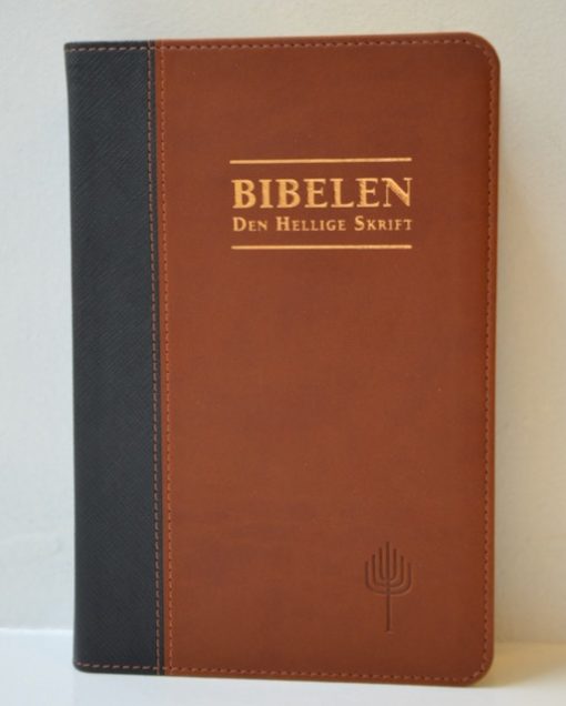 Bibelen - Den Hellige Skrift