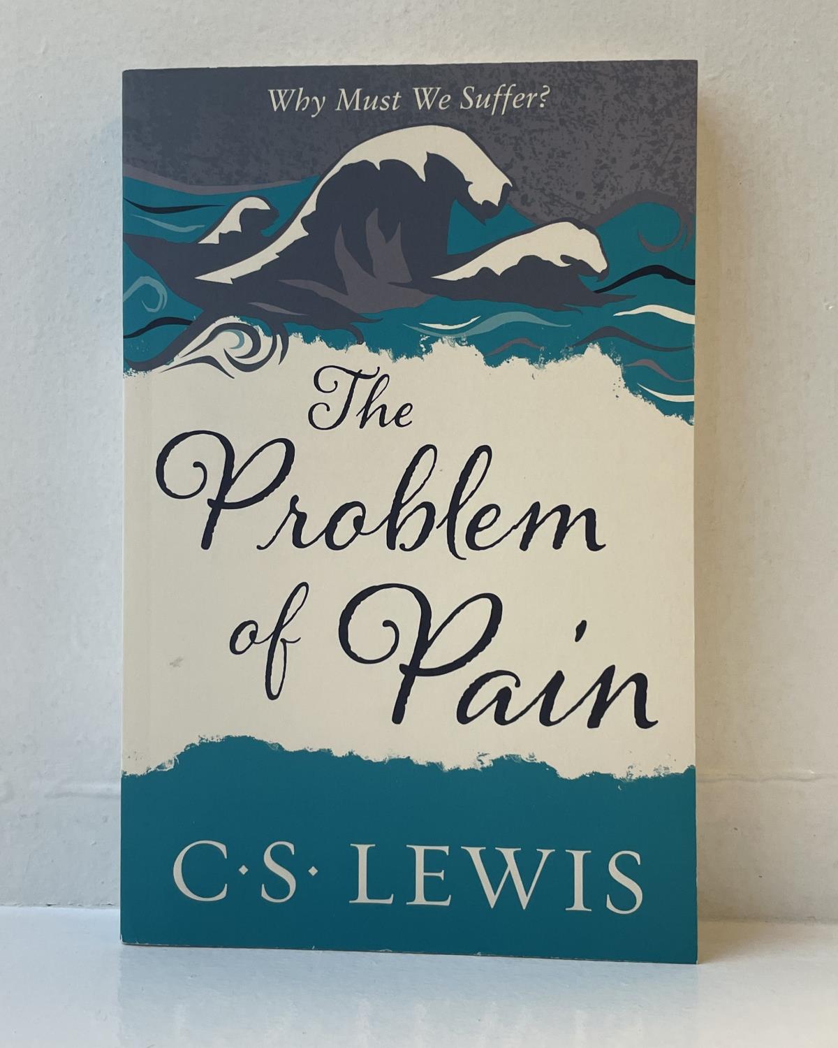 The Problem of Pain