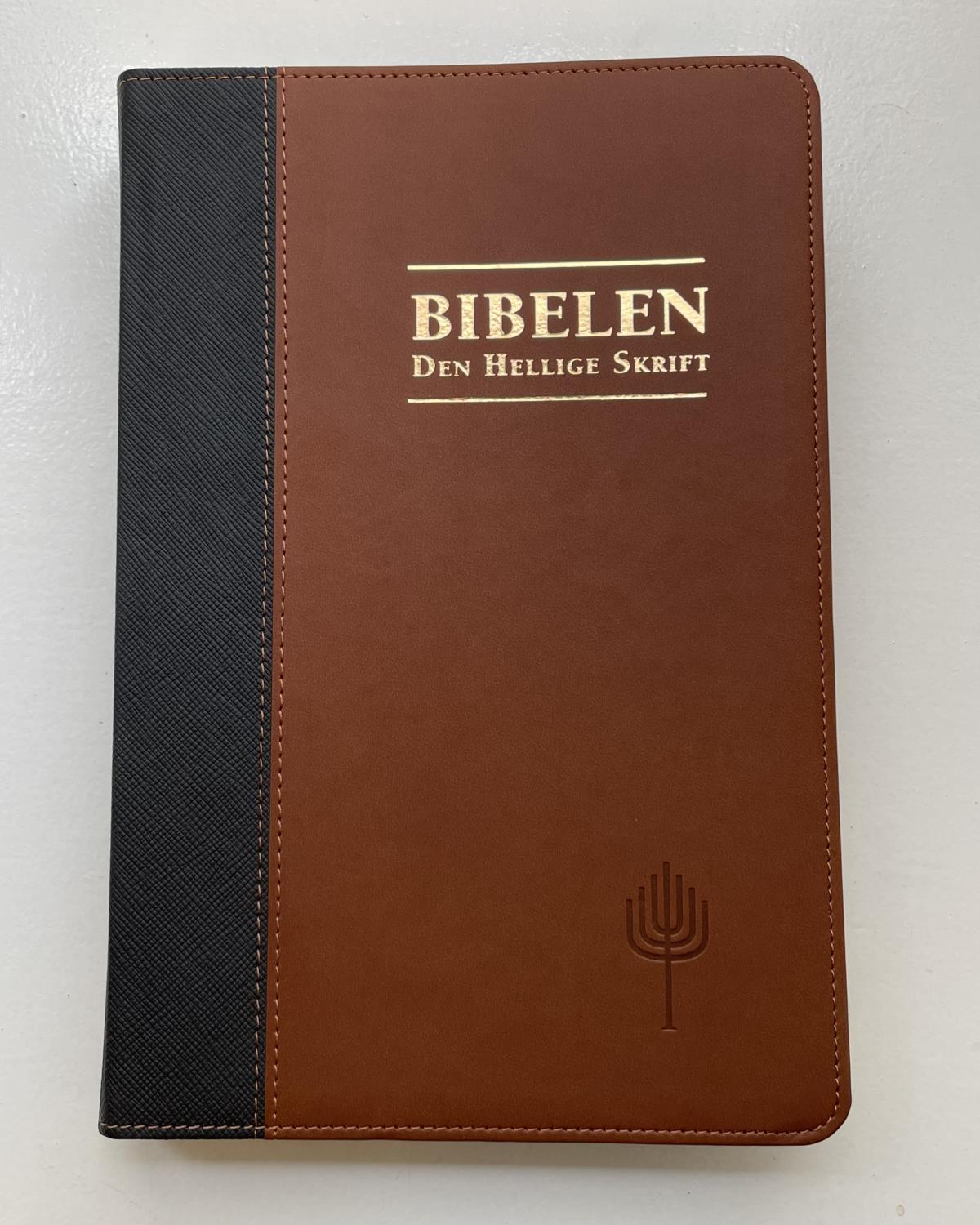 Bibelen - Den hellige skrift