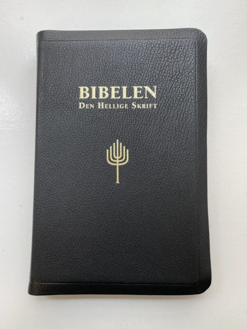 Bibelen - Den Hellige Skrift