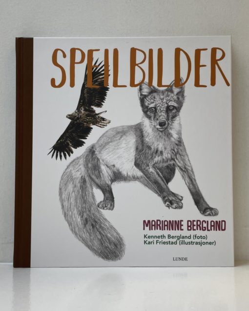 Speilbilder