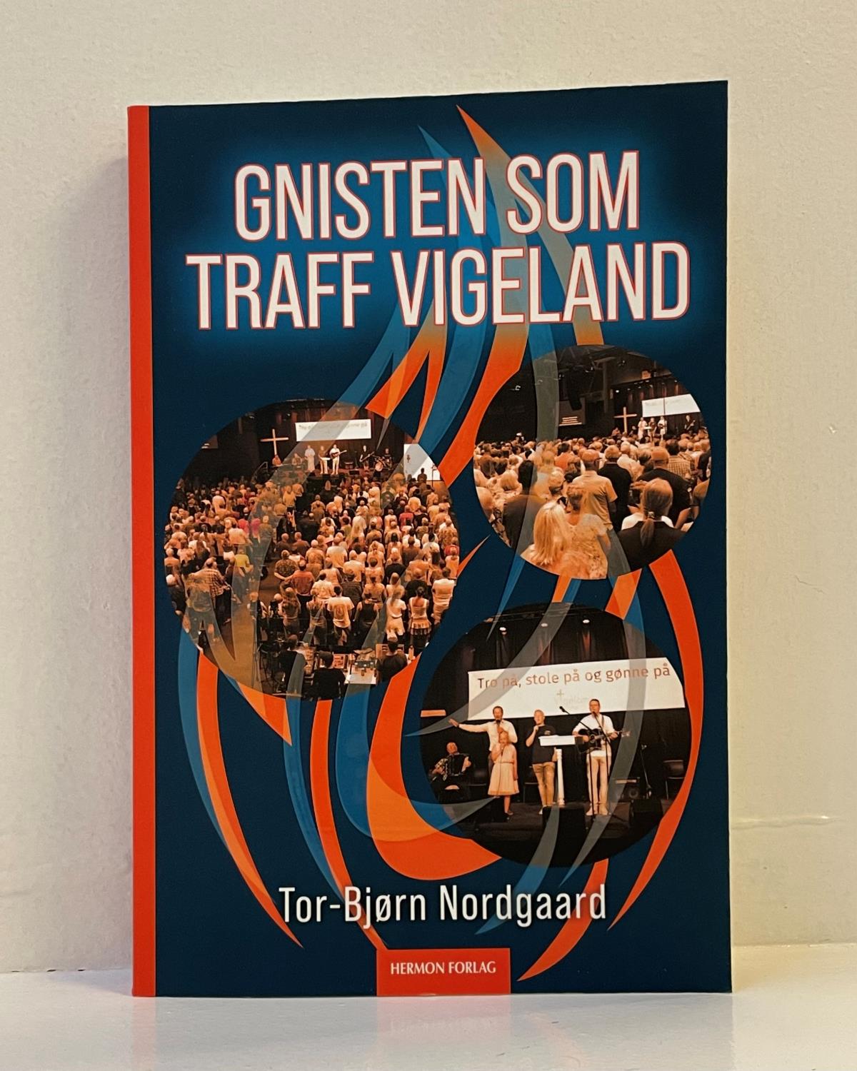 Gnisten som traff Vigeland