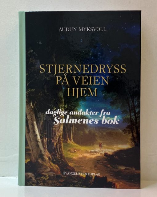 Stjernedryss på veien hjem