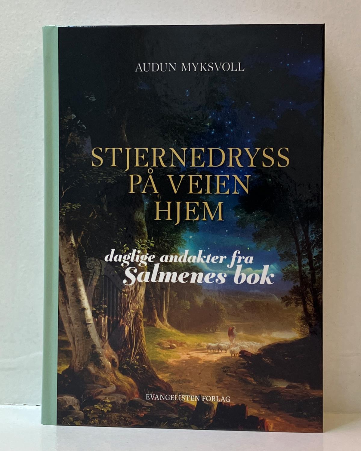 Stjernedryss på veien hjem