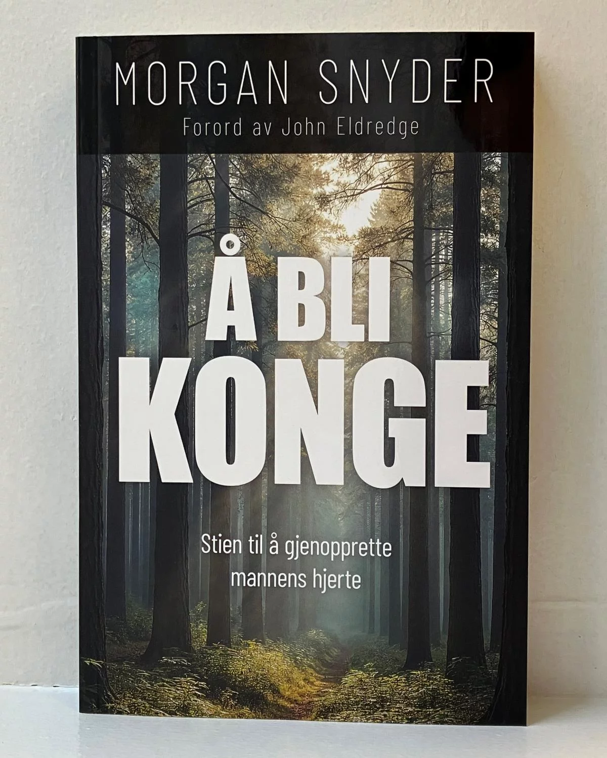 Å bli konge - Stien til å gjenopprette mannens hjerte