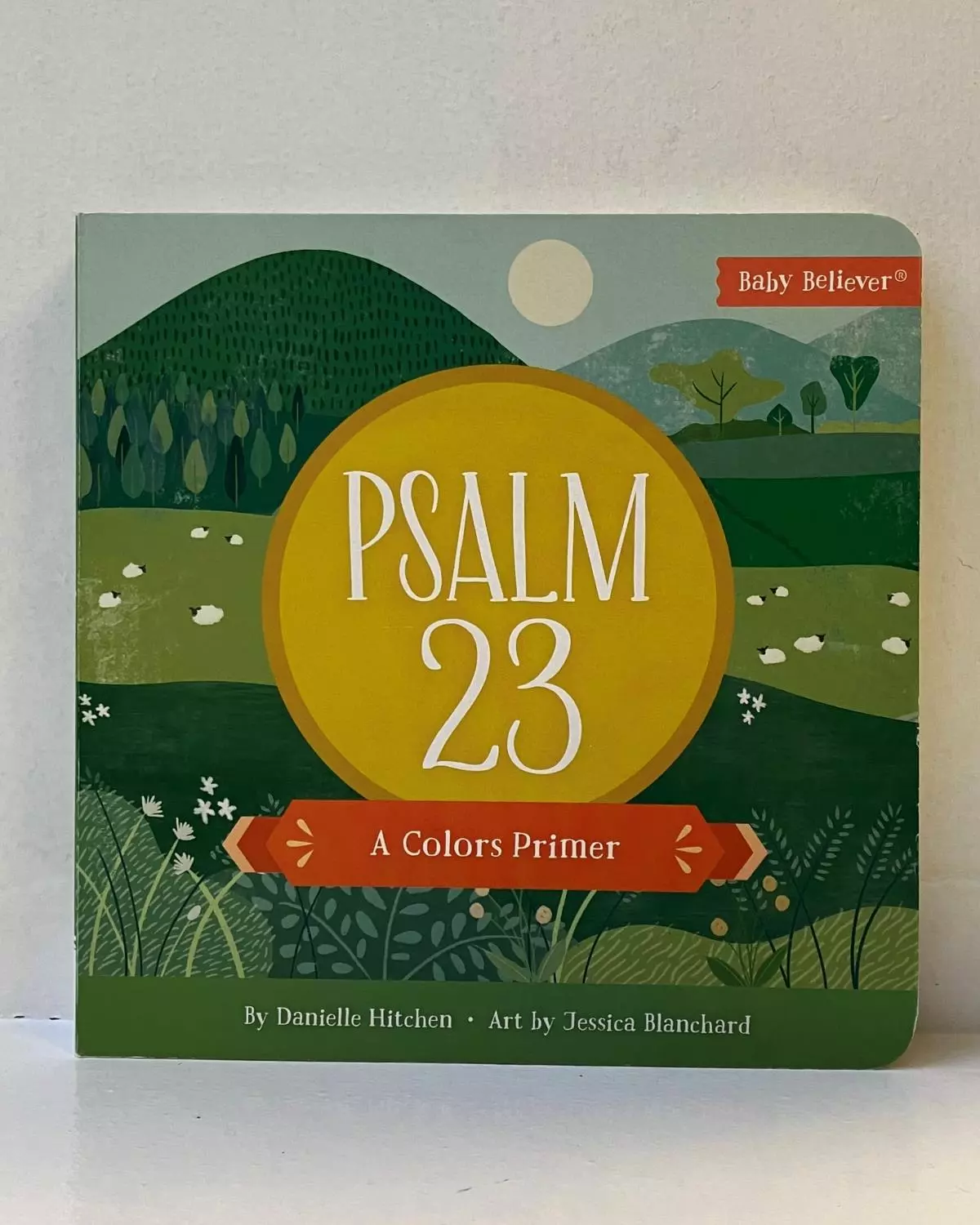 Psalm 23: A Colors Primer