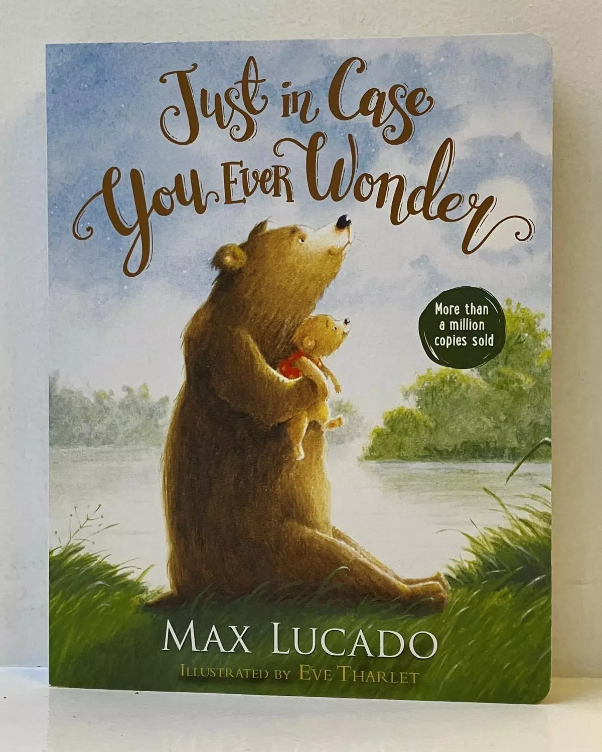 Just in Case You Ever Wonder