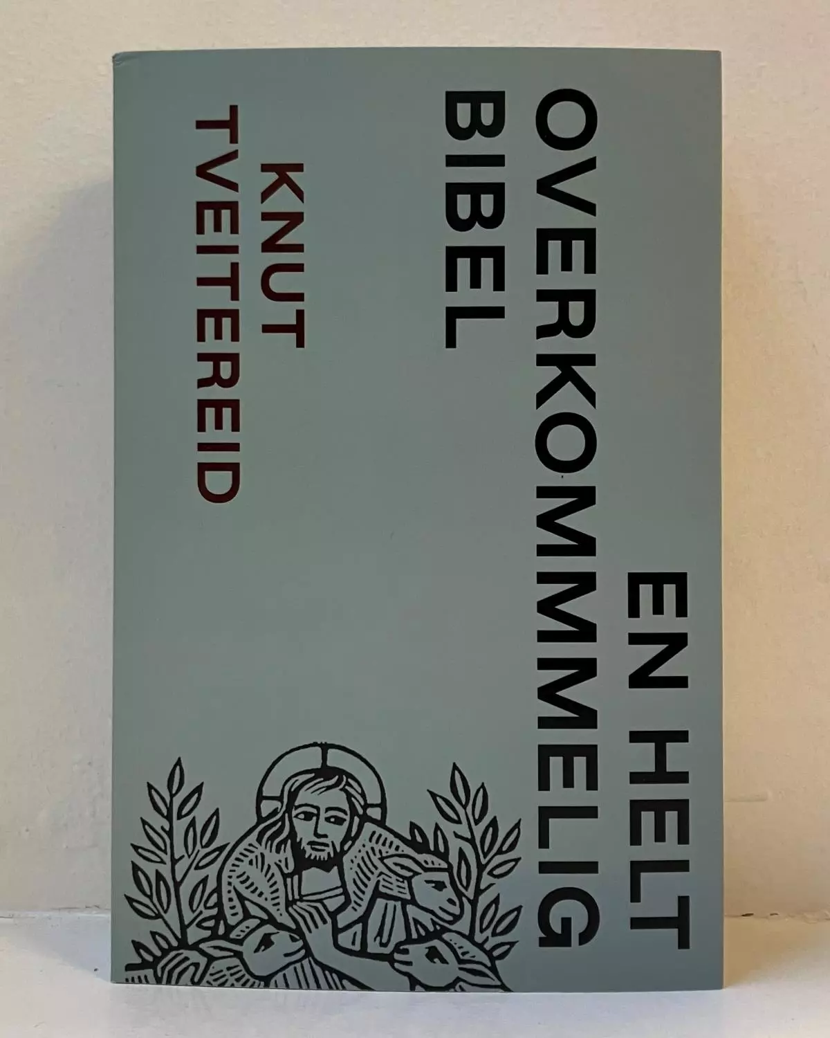 En helt overkommelig bibel (ny utg)