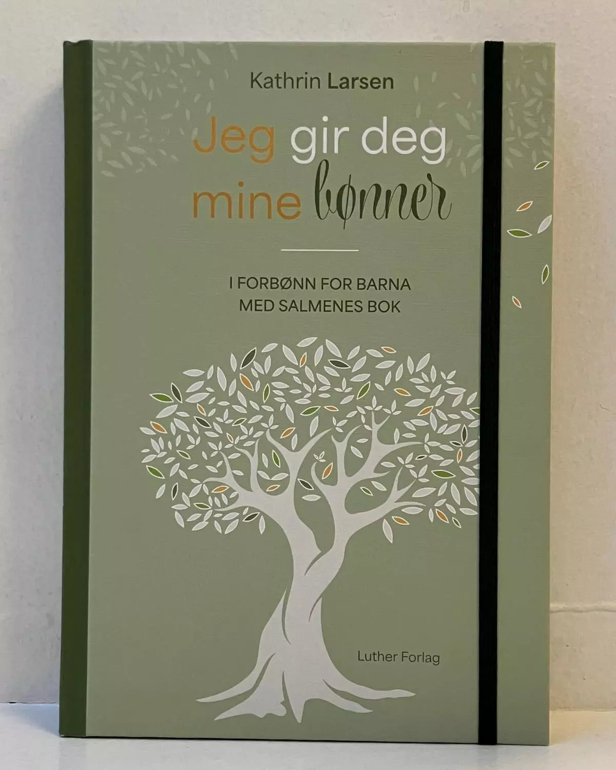 Jeg gir deg mine bønner