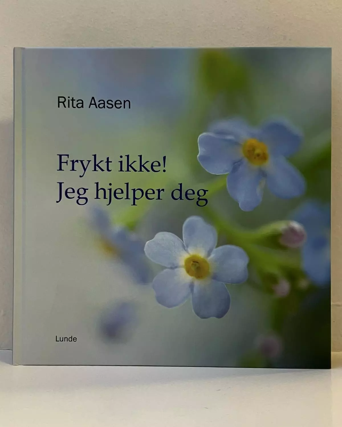 Frykt ikke! Jeg hjelper deg