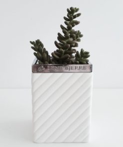 ROBERTA TANDKRUS WHITE