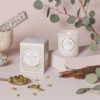 Classic Boxed Candle 60t, Eucalyptus&White Sage