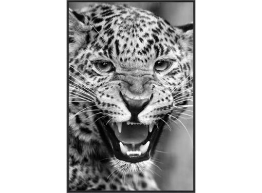 Bilde leopard sort/hvit, 60*90cm