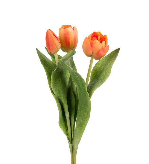 Tulipan mix,orange 36 cm