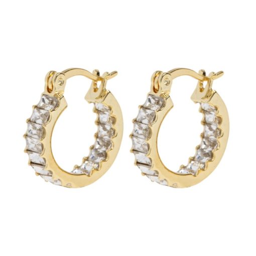Ray-crystal hoop earrings