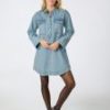 Neo Noir Paras Denim Dress