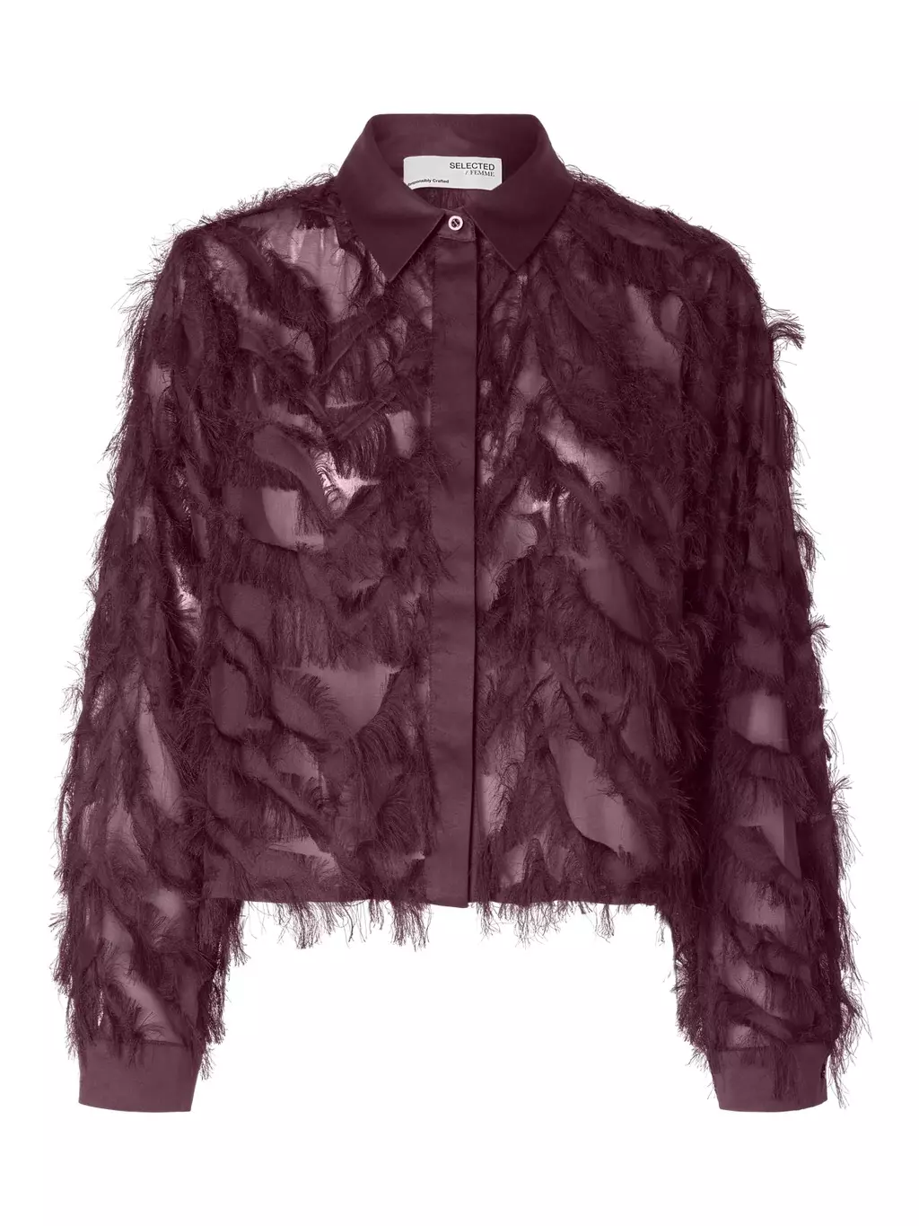 gallery-19985-for-16095034