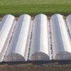 Plast Angus Duralight Extra 11 x 110 meter 150 mu