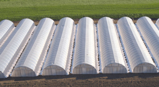 Plast Angus Duralight Extra 11 x 110 meter 150 mu