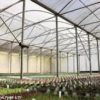 Plast SunMaster Supertermic, 14,00 mtr, 150 my, pris per lm
