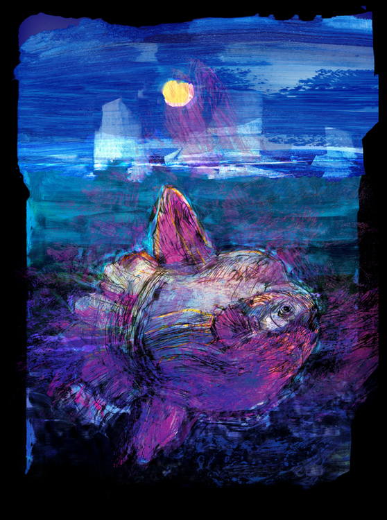 I am the moonfish 11/50