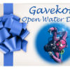 Open Water Diver kurs