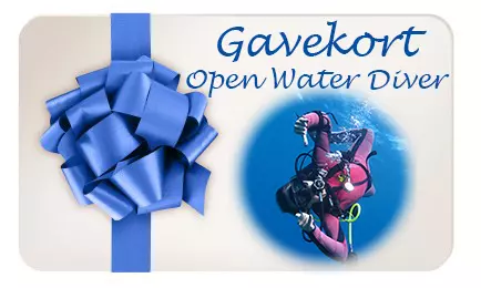 Open Water Diver kurs