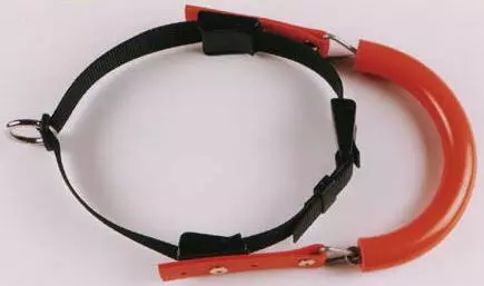 Bringsel Standard for Export